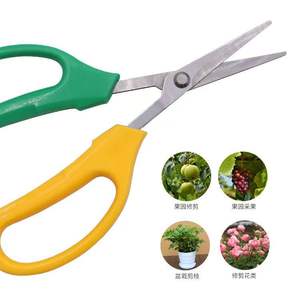Tijeras de Podar de Acero Inoxidable con Cabeza Curva para Jardinería y Uso Doméstico, Tijeras para Recortar Frutas Personalizables OEM - Product Image 5