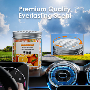 Ambientador en Gel Sólido de 250g con Tecnología Desodorizante de Frutas y Plantas, Neutraliza las Moléculas de Olor, Frescura Duradera para el Auto - Product Image 2