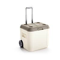 Glacière isotherme pour poisson, grande glacière Igloo étanche 52L, portable pour pique-nique en extérieur
