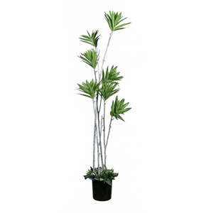 <b>Artificial</b> Plant Multi Stem Staggered Dracaena <b>Tree</b> Real Touch Decorative Indoor Plant for Home Office Hotel Decor - Product Image 1