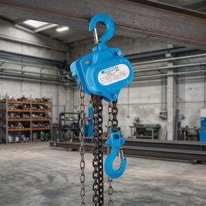 FERVI PARANCO a CATENA <b>Hoist</b> Product 1000kg Capacity 3000mm Lift Height - Product Image 2