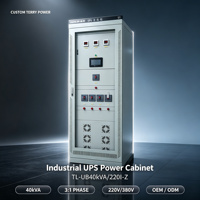 Armoire d'alimentation UPS personnalisée Terry Power TL-UB30kVA/220I-Z 10kVA DC220V IP31 Boîtier de distribution
