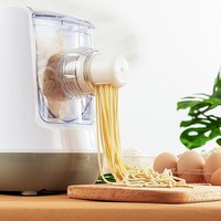 Machine à pâtes multifonctionnelle entièrement automatique pour la maison, petite machine à pâtes électrique, capacité élevée 120 kg/heure