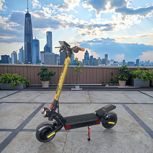 Scooter Eléctrico de Dos Ruedas con Motor de 1800w-3500w, Neumáticos Anchos, 11 Pulgadas, Desmontable, 150kg, M9 Scooter M9 M - Product Image 2