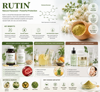 Pasokan Pabrik Ekstrak Alami 95% Rutin NF11 Sophora Japonica CAS 153-18-4 Bubuk Rutin