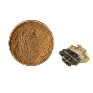 ผงกระดองเต่าเกรดสูงผลิตจากโรงงานจีนผงกระดองเต่า - Product Image 1