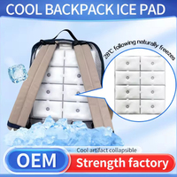 Coussin de refroidissement réutilisable pour sac à dos PCM Ice Pack, universel, s'adapte à la plupart des sacs à dos, coussin de refroidissement souple, pour les voyages en plein air en été