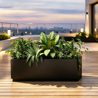 Jardinières rectangulaires personnalisables en acier inoxydable pour terrasses et cours extérieures – Ornement autoportant