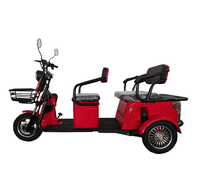 Tricycle électrique à trois roues à carrosserie ouverte EEC/COC/L2e-P, tricycle électrique pour passagers, scooter trike pour le marché européen