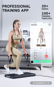 Machine à câbles d'exercice tout-en-un RH Indoor Sports, salle de sport à domicile intelligente, entraînement de force, station multifonctionnelle - Product Image 4