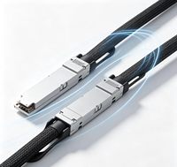 Câble passif à connexion directe 800G OSFP vers OSFP, câble biaxial en cuivre pour câblage de commutateur de rack de centre de données IA
