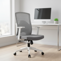 Chaise de bureau ergonomique moderne pivotante avec support lombaire en maille, ensemble de mobilier de bureau réglable, personnalisation en gros