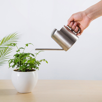 Arrosoir miniature en acier inoxydable personnalisé, très vendu, pour plantes d'intérieur