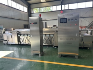 สายการผลิต<span class=keywords><strong>ทอด</strong></span>อาหารแบบต่อเนื่องอัตโนมัติ เครื่องทอดอาหารสแตนเลสเกรด 304 สำหรับอาหาร - Product Image 2