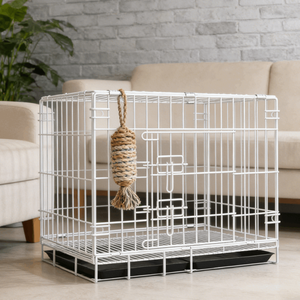 Cages pour animaux de compagnie pliables en métal, grand format, style classique et simple, <span class=keywords><strong>avec</strong></span> plateau en plastique à motif uni, robustes et durables – Meilleur prix - Product Image 2