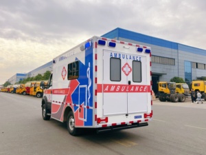 1veco Euro 4WD Véhicule d'ambulance tout-terrain entièrement équipé pour le sauvetage d'urgence et le transfert médical dans les zones montagneuses et isolées - Product Image 3