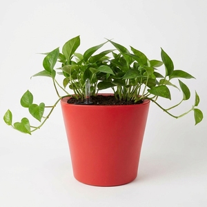 Macetas de Plástico PP de Colores de Lujo para Escritorio, Suministro al por Mayor, Macetas Modernas con Autorriego para Decoración de Interiores, Hogar y Jardín - Product Image 1