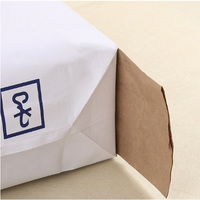 China Manufacturer's 25KG Kraft Paper Valve Sack Offset Printed for Industrial Use-for Chemical Plastering Mortar