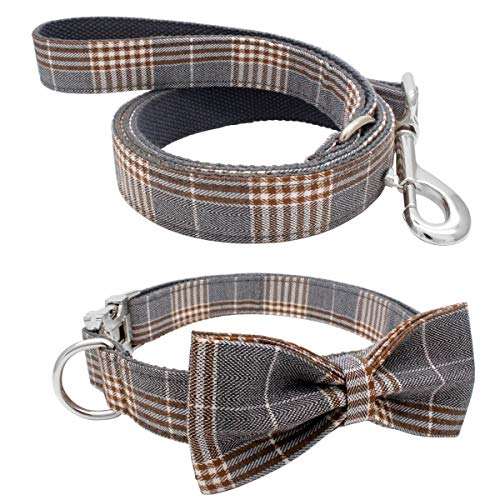 Collar and Leash Set - 1004