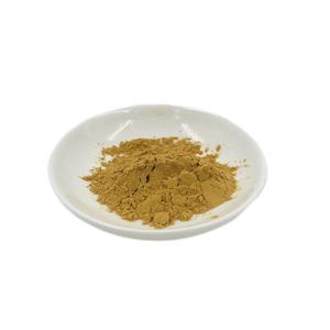 Costus Igneus polvo 10:1 extracto de planta Costus Igneus extracto de hoja - Product Image 4