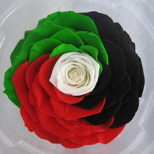 Rosas Preservadas de Grado A de YUNNAN al por Mayor, Flor <span class=keywords><strong>Preservada</strong></span> de Larga Duración de 9-10 cm, Cabeza de <span class=keywords><strong>Rosa</strong></span> Arcoíris <span class=keywords><strong>Preservada</strong></span> de Gran Tamaño para Arreglos Florales - Product Image 2