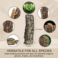 LEECORK Tubes en liège naturel vierge pour reptiles, tubes de grimpette en liège pour terrarium avec bouchons en liège