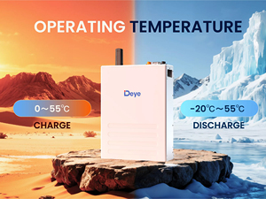 แบตเตอรี่ EU Stock Deye SE-F16 16kWh 32 ชิ้น ระบบ BMS แบบขนาน พร้อม CAN/RS485/บลูทูธ IP21 จัดส่งแบบ DDP - Product Image 6