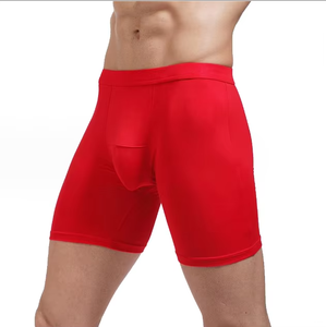 Ropa Interior Deportiva Larga para Hombre de la Marca CELINNE, Transpirable, que Absorbe la Humedad, Elástica, Calzoncillos Boxer para Hombre - Product Image 6