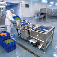 Energiebesparende fruit- en groentewasmachine industriële belwasmachine SUS304 roestvrij staal voor snackfabriek