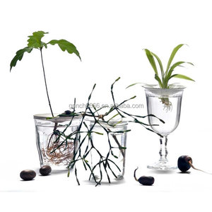 Macetas <span class=keywords><strong>de</strong></span> Germinación para Aguacates, Bellotas, Legumbres y Nueces, Soporte para Plantas, Macetas <span class=keywords><strong>de</strong></span> Hidroponía para Semillas <span class=keywords><strong>de</strong></span> Aguacates y Bellotas - Product Image 5