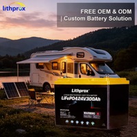 Batterie LiFePO4 à décharge profonde pour VR 24V 300AH Grade A, directement d'usine, plus de 6000 cycles, BMS intelligent Bluetooth, borne M8, CE RoHS IP67, OEM ODM