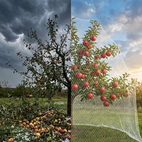 Filet de protection solaire anti-grêle, imperméable et robuste en HDPE tricoté pour vignes, agrumes et vergers