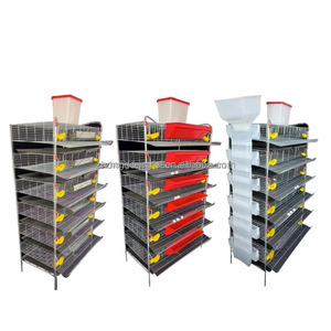 Jaula para Codornices de Alta Calidad Tipo H con Alimentación Automática, <span class=keywords><strong>Jaulas</strong></span> para Codornices para Producción de Huevos, Jaula para Aves de Reproducción - Product Image 2