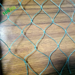 Lưới PE Chịu Lực Nặng Lưới Lưới Mắt Cáo Ni Lông Lưới Hỗ Trợ Cây Đậu Leo Sáng Vinh Quang Dưa Chuột Lưới Trồng Cây Hàng Rào - Product Image 2