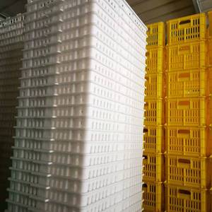 New PP materials good quality chick box 100 pcs day old chicks for transportation factory sale chick transferring basket