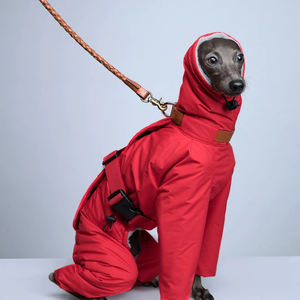 Combinaison pour chien faite à la main, super chaude, de haute qualité, imperméable, vêtements d'hiver pour chien, vêtements d'hiver pour lévrier italien - Product Image 3