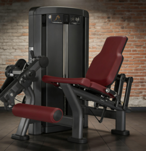 Machine de musculation commerciale chinoise pour triceps, équipement robuste pour l'entraînement de force, musculation des <span class=keywords><strong>bras</strong></span> <span class=keywords><strong>et</strong></span> des épaules - Product Image 5