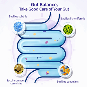 Probiotiques Petop pour chiens et chats, 300 milliards d'UFC, confort gastro-intestinal, complément nutritionnel, santé digestive, biologique, rapide - Product Image 4