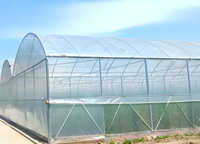 Serre BAIXINXIN |   Structure de cadre de serre |   Grandes serres en plastique multi-voûtes, usage professionnel, anti-goutte, pour jardin