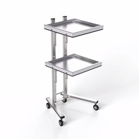Vente en gros Plateau en acier inoxydable Chariot mobile pour salon de coiffure professionnel en or Beauté