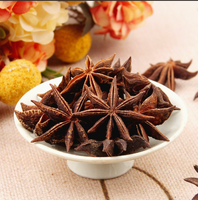 Anís Estrellado Premium de Alta Calidad, Especias Secas, 1 kg, Venta al por Mayor, Origen China, 24 Meses de Duración, Listo para Usar