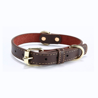 Collier pour chien en cuir véritable personnalisé économique avec boucle, style simple, rembourré, doublure en fourrure, motif uni, IPeti