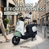 Vélo électrique pour adultes avec moteur arrière électronique 48V 20Ah 350W, cadre en acier, pour hommes