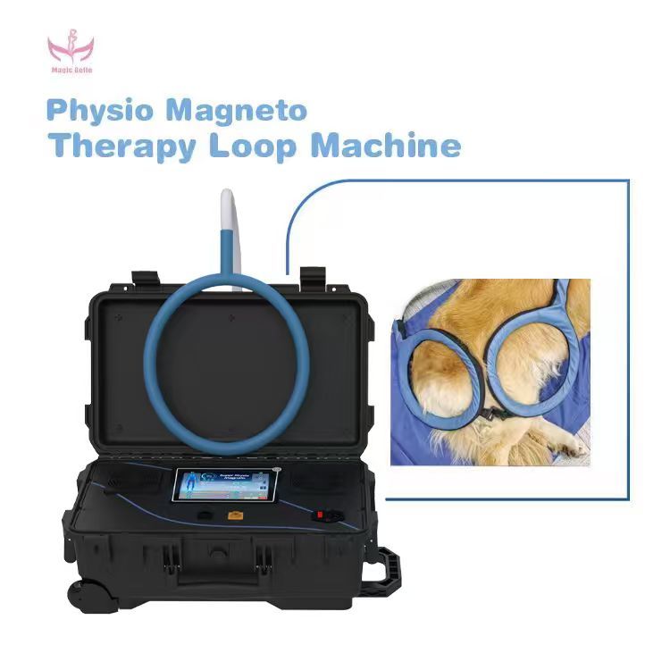 MagicBelle Portable Piezo Wave Shockwave Device