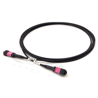 Armored MPO 24 Fiber Optic Cable OM4 Multimode 16Fiber Jumper Cord 10G/25G Backbone 400G/800G SR8 PC/APC 5G Data Center