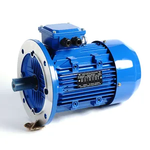 China Factory Asynchronous AC Electric Induction Motor 220V 380V 3-Phase 2200W 3HP 5HP 20HP 15KW with Enclosed Protection