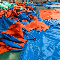 Bâche en PEHD enduite de PE, imperméable, coupe-vent, légère, pour auvent extérieur, avec œillets, bleue