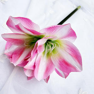Fleur artificielle d'<span class=keywords><strong>amaryllis</strong></span> MeiHui Barbadoslily, nouveaux produits, polyvalente, économique, fidélité, fleurs décoratives de bureau - Product Image 5