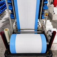 Sac en PP tissé blanc recyclé de 25 kg et 50 kg pour emballage OEM – Sacs pour sable, ciment, farine, riz, engrais, aliments et aliments pour animaux