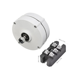Poland Stock <b>Generator</b> 100w 24v With Regulator Ac Alternator Magnet <b>Generator</b> Factory S-100 50kw Brushless Ac Alternator - Product Image 5